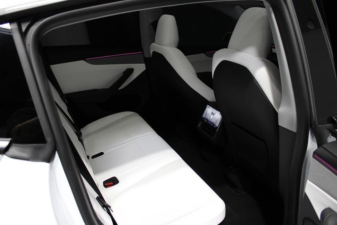 Model Y Plaid Thumbnail 8